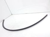 Windshield trim