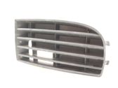 Grille inférieure de pare-chocs avant