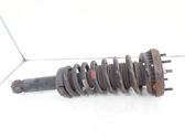 Rear shock absorber with coil spring