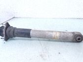 Stoßdämpfer hinten
