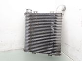 Intercooler radiator