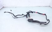 Rear door wiring loom