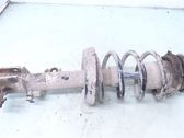 Front shock absorber with coil spring