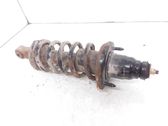 Rear shock absorber with coil spring