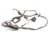 Cableado de puerta delantera
