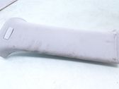 (C) pillar trim