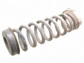 Feder hinten