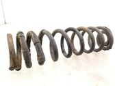 Rear coil spring