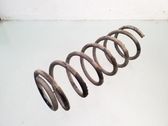 Rear coil spring