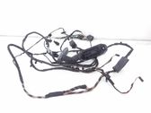 Rear door wiring loom