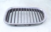 Front bumper upper radiator grill