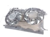 Electric radiator cooling fan