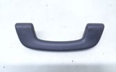 Front interior roof grab handle