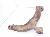 Front lower control arm/wishbone