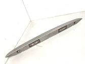 Trunk door license plate light bar