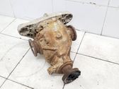 Rear differential