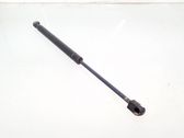 Tailgate/trunk strut/damper
