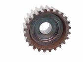 Crankshaft gear