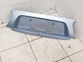 Trunk door license plate light bar