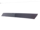 Moldura del vidrio lateral trasero