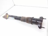 Rear shock absorber/damper