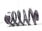 Rear coil spring