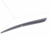 Windshield trim