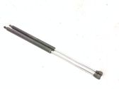 Tailgate/trunk strut/damper