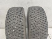17 Zoll Winterreifen mit Spikes