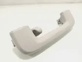 Front interior roof grab handle