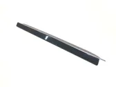 Rear door glass trim molding