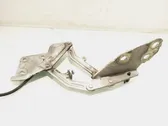 Engine bonnet/hood hinges