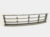 Front bumper lower grill