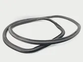 Rear door rubber seal (on body)