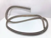 Front door rubber seal