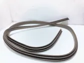 Rear door rubber seal (on body)