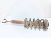 Front shock absorber with coil spring