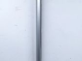 Listón embellecedor de la puerta delantera (moldura)