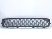 Front bumper lower grill