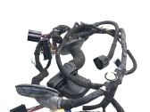Front door wiring loom