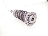 Rear shock absorber with coil spring