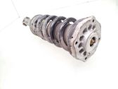 Rear shock absorber with coil spring
