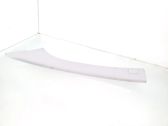 (A) pillar trim