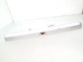 Trunk door license plate light bar