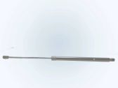 Tailgate/trunk strut/damper