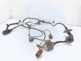 Cableado de puerta trasera