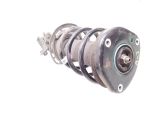 Front shock absorber with coil spring