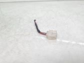 Other wiring loom