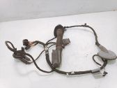 Rear door wiring loom