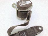 Cinturón trasero